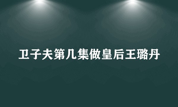 卫子夫第几集做皇后王璐丹