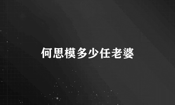 何思模多少任老婆