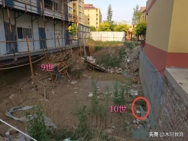 祖坟遗骨被抛洒,78位村民状告开发商索赔410万,怎么回事?