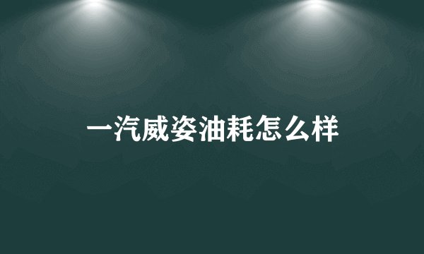 一汽威姿油耗怎么样