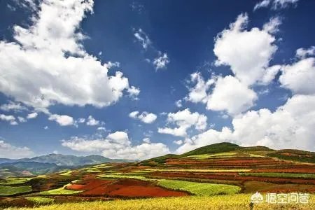 为什么网络曝光云南旅游很多黑幕竟然还有人敢去?