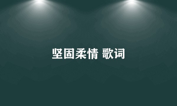 坚固柔情 歌词