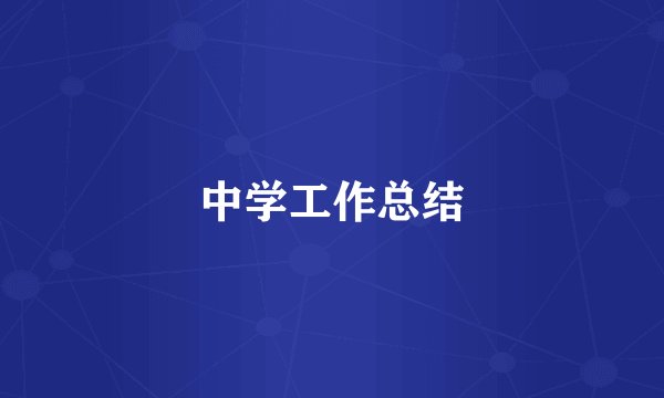 中学工作总结