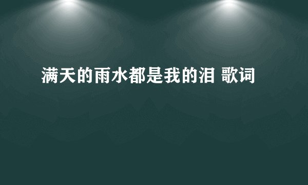 满天的雨水都是我的泪 歌词