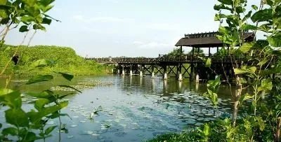 海上田园有什么好玩的,值得去吗?
