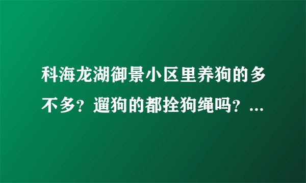 科海龙湖御景小区里养狗的多不多？遛狗的都拴狗绳吗？有流浪宠物吗？