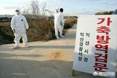 年现在能去韩国疫情风险大么?
