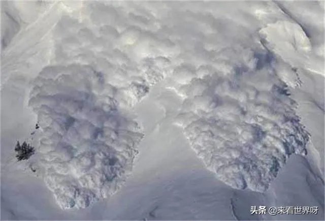 2020年地震雪崩与2019年澳大利亚大火有关系吗?