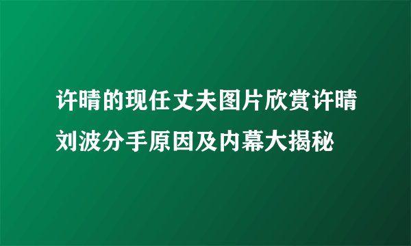 许晴的现任丈夫图片欣赏许晴刘波分手原因及内幕大揭秘