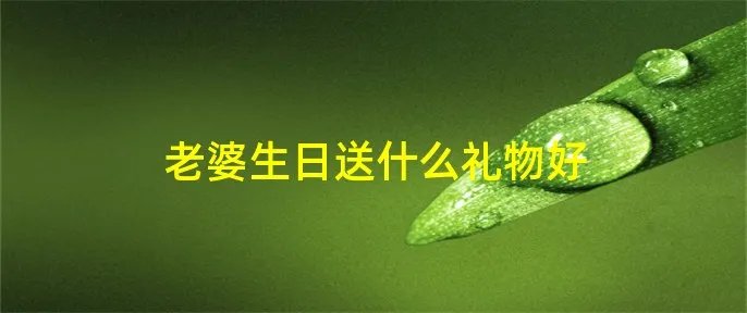 老婆生日送什么礼物好