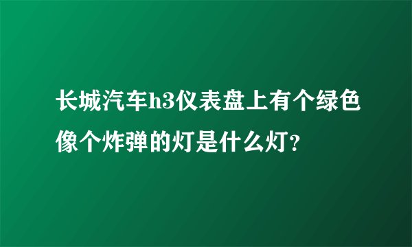 长城汽车h3仪表盘上有个绿色像个炸弹的灯是什么灯?