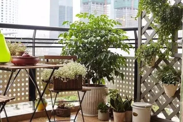 老婆,买了房我们就这样装吧,才花15万,简直太漂亮!