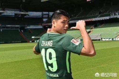 张玉宁离开德甲后可能将重回何甲,对此你怎么看?
