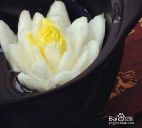 海葵静心莲的做法