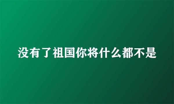没有了祖国你将什么都不是