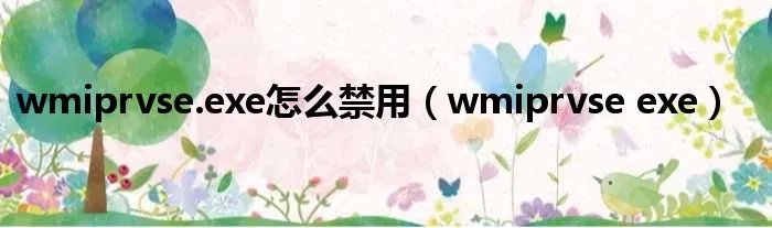 wmiprvse.exe怎么禁用（wmiprvse exe）