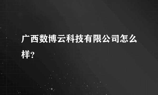 广西数博云科技有限公司怎么样？