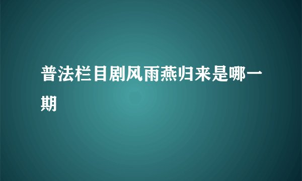 普法栏目剧风雨燕归来是哪一期
