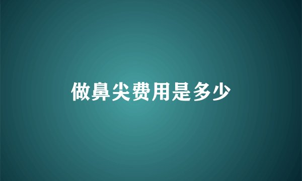 做鼻尖费用是多少