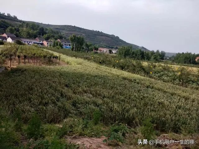想听听你遇到过最难的事?是怎么度过的?