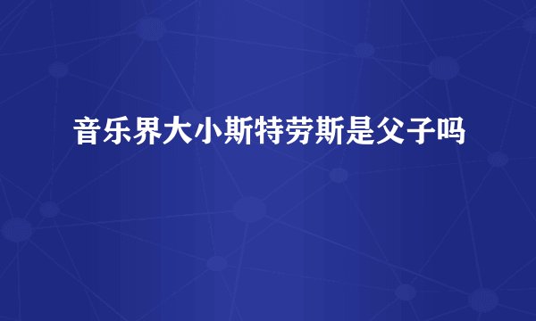 音乐界大小斯特劳斯是父子吗