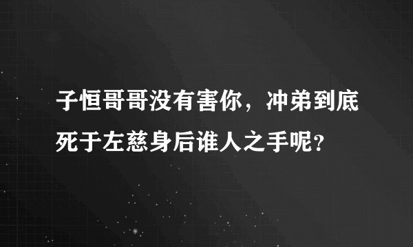 子恒哥哥没有害你，冲弟到底死于左慈身后谁人之手呢？