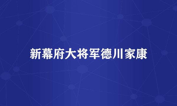 新幕府大将军德川家康