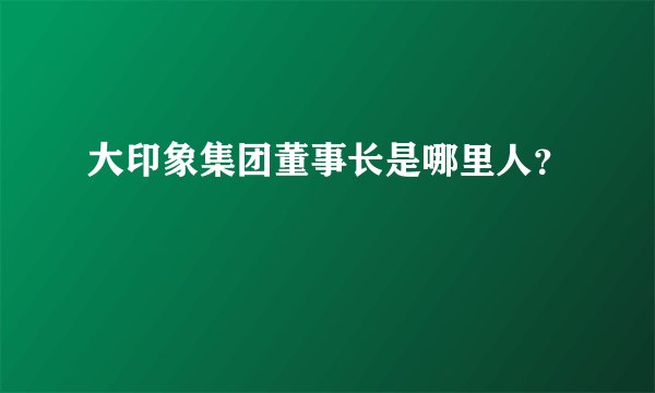 大印象集团董事长是哪里人？
