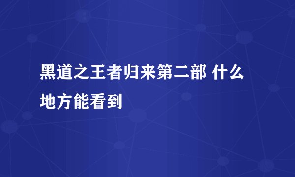 黑道之王者归来第二部 什么地方能看到