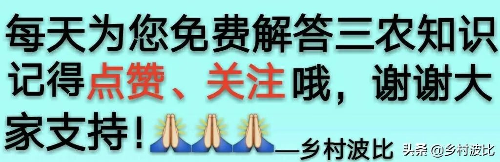 养殖户们连叫亏本,消费者们又大呼吃不起,小龙虾困境如何破解?
