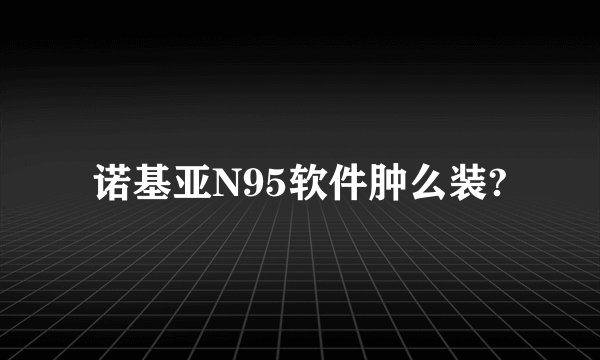 诺基亚N95软件肿么装?