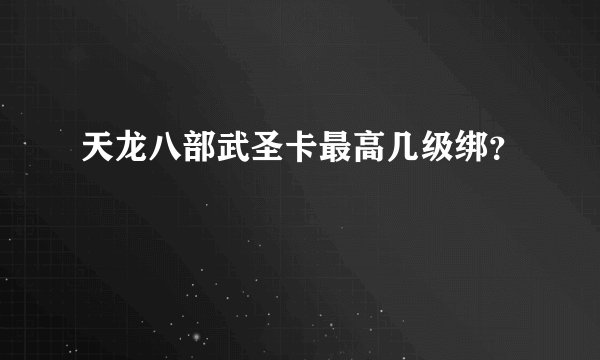 天龙八部武圣卡最高几级绑？
