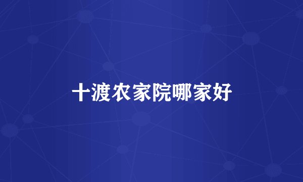 十渡农家院哪家好