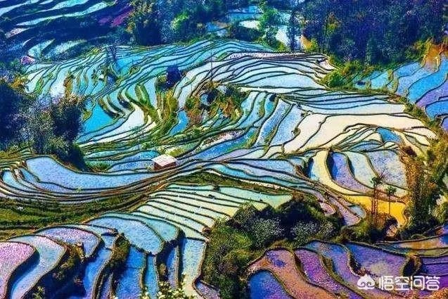 为什么越来越多的成都人选择去米易过冬?