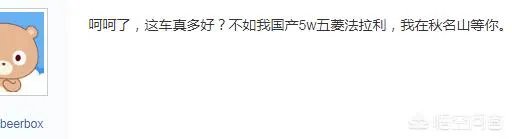 思域是个什么梗?