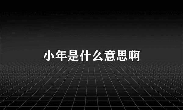 小年是什么意思啊