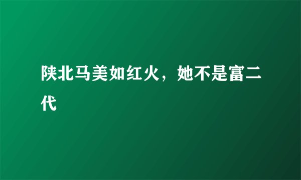 陕北马美如红火，她不是富二代