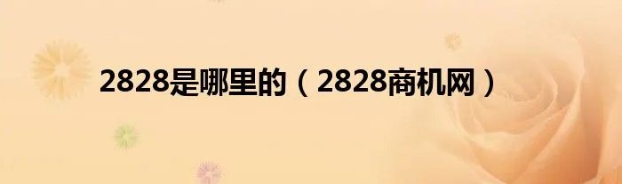 2828是哪里的（2828商机网）
