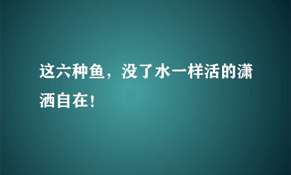 这六种鱼，没了水一样活的潇洒自在！