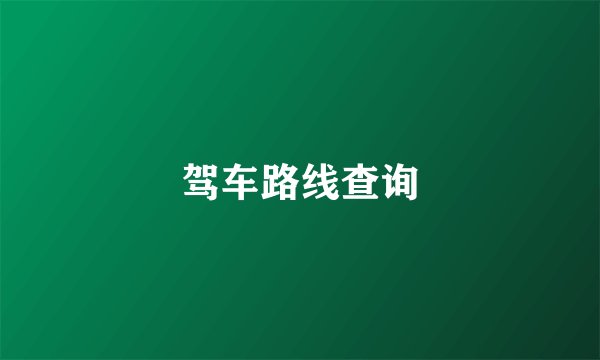 驾车路线查询