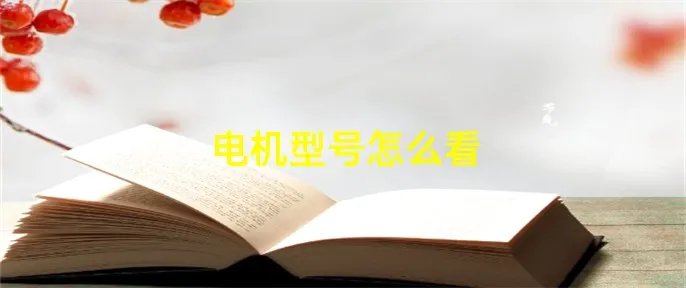 电机型号怎么看