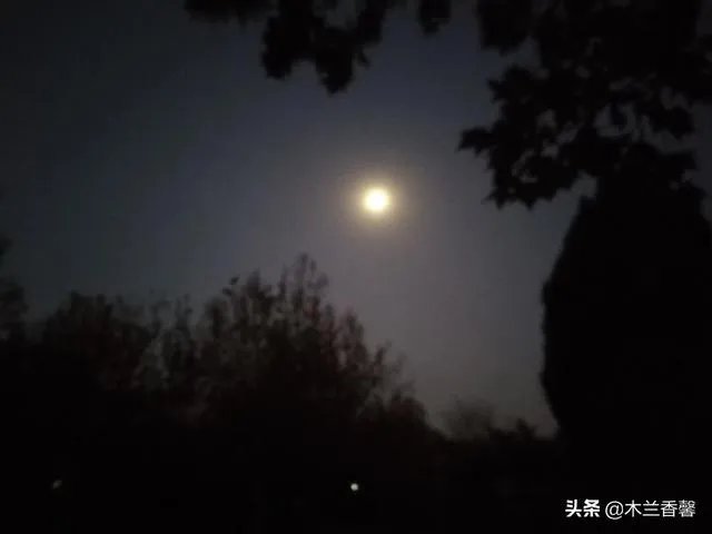 生活摄影艺术