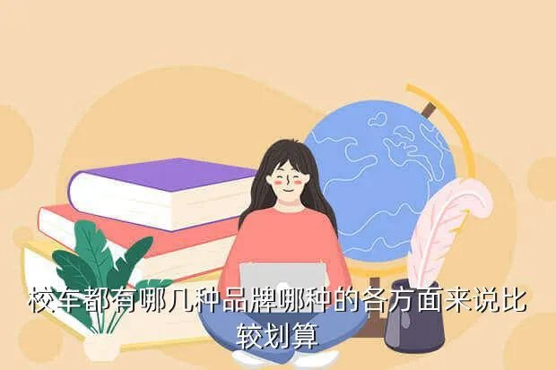 蓝鸟校车,请问BLUEBIRD20i是什么车啊 中文名称