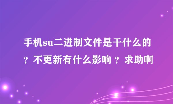 手机su二进制文件是干什么的？不更新有什么影响 ？求助啊