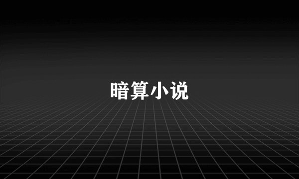 暗算小说