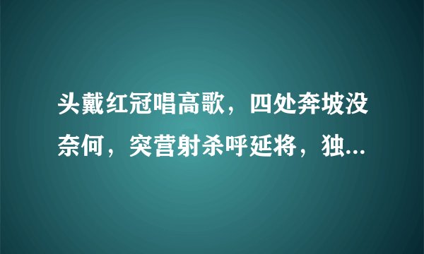 头戴红冠唱高歌，四处奔坡没奈何，突营射杀呼延将，独领残兵千骑归。这表示什么生肖？