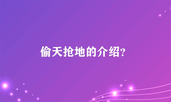 偷天抢地的介绍？
