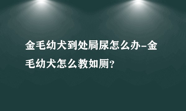 金毛幼犬到处屙尿怎么办-金毛幼犬怎么教如厕？