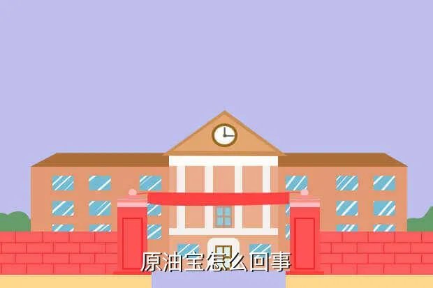 冬奥会k宝怎么回事,地盾宝怎么回事