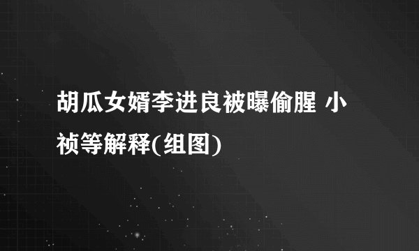 胡瓜女婿李进良被曝偷腥 小祯等解释(组图)